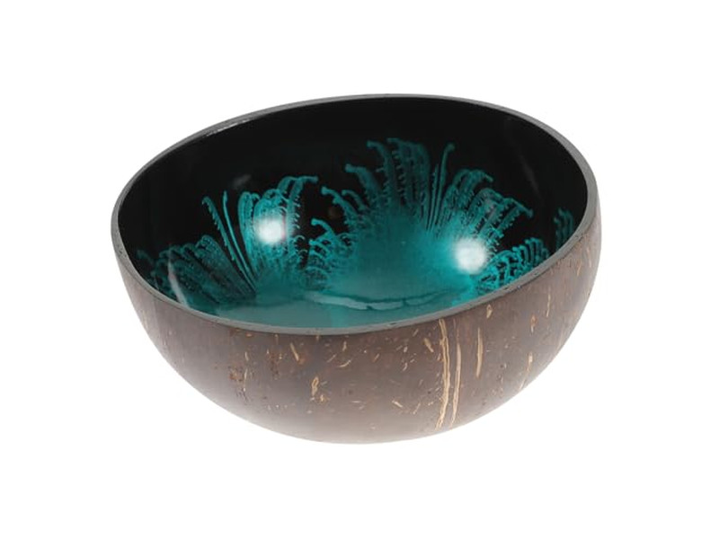 Ciotole di Cocco per Acai Shell Sala Contenitore Chiave Mini Set