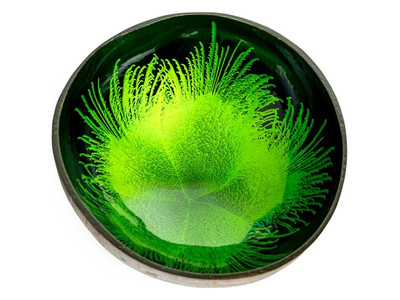 Set di Ciotole Eco-Friendly Fatto a Mano in Legno per Zuppa a Forma di Diamante