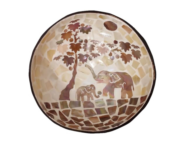 Ciotola di Cocco Incisa Mezze di Guscio di Cocco Grande Set di Servizio Portacibo Naturale