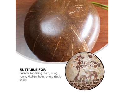 Ciotola di Cocco Incisa Mezze di Guscio di Cocco Grande Set di Servizio Portacibo Naturale