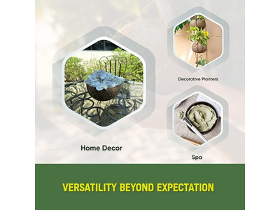 Set di Ciotole di Bambù 7 per Cibo Ciotola di Gelato di Cocco 32 4 Grande Guscio Organico