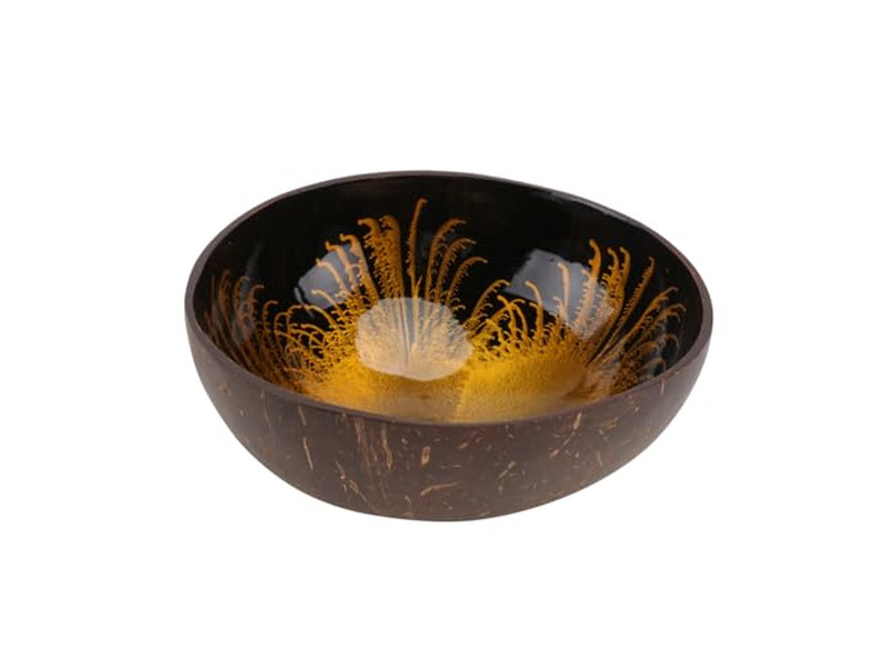 Fodere per Banneton per Ciotole di Plastica Set di Ciotole di Cocco e Cucchiaio Smoothie