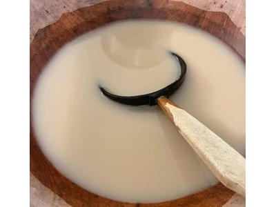 Ciotola di Cocco Artigianale in Guscio di Cocco Lucido